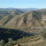 Quinta De Casaldronho Wine