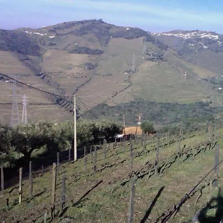 Quinta De Casaldronho Wine