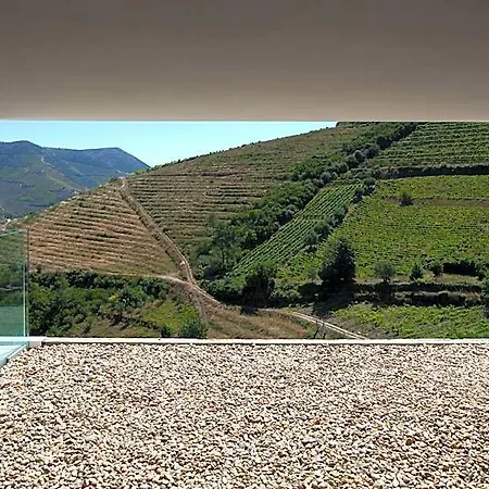 Quinta De Casaldronho Wine Lamego