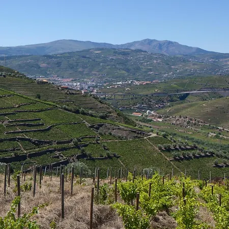 Quinta De Casaldronho Wine 4* Lamego