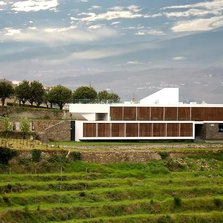 Quinta De Casaldronho Wine Lamego