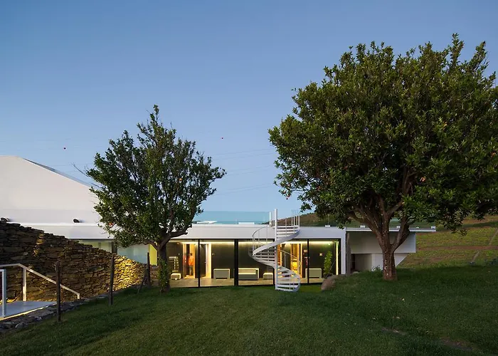 Quinta De Casaldronho Wine Lamego