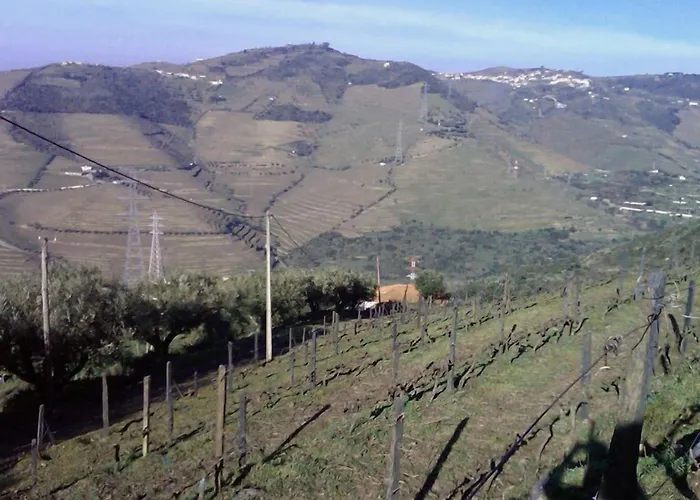 Quinta De Casaldronho Wine