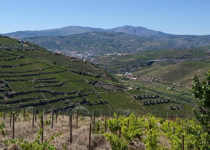 Quinta De Casaldronho Wine 4* Lamego