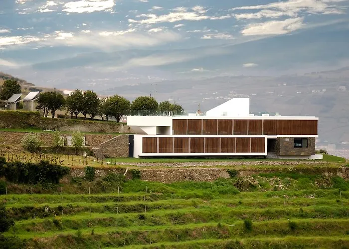 Quinta De Casaldronho Wine Lamego